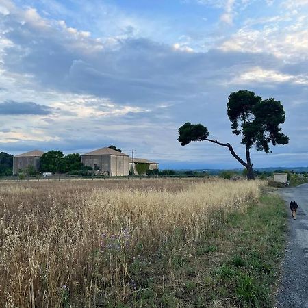 Charming Village House With Roof Top Terrace! Thezan-les-Beziers Luaran gambar